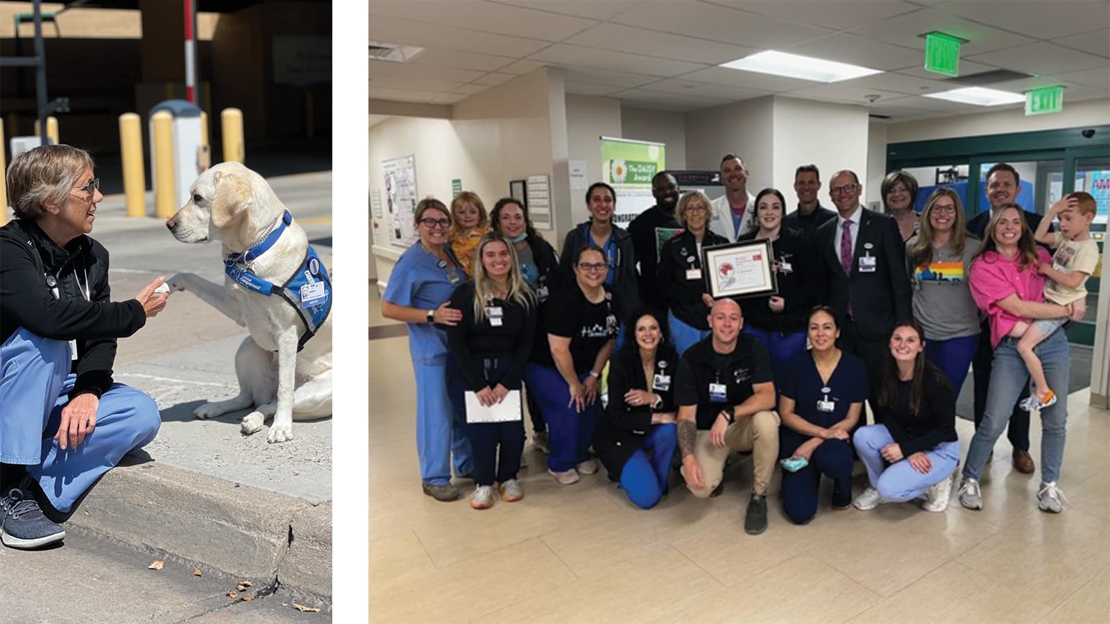 Photo collage featuring a woman with a dog and a group of people