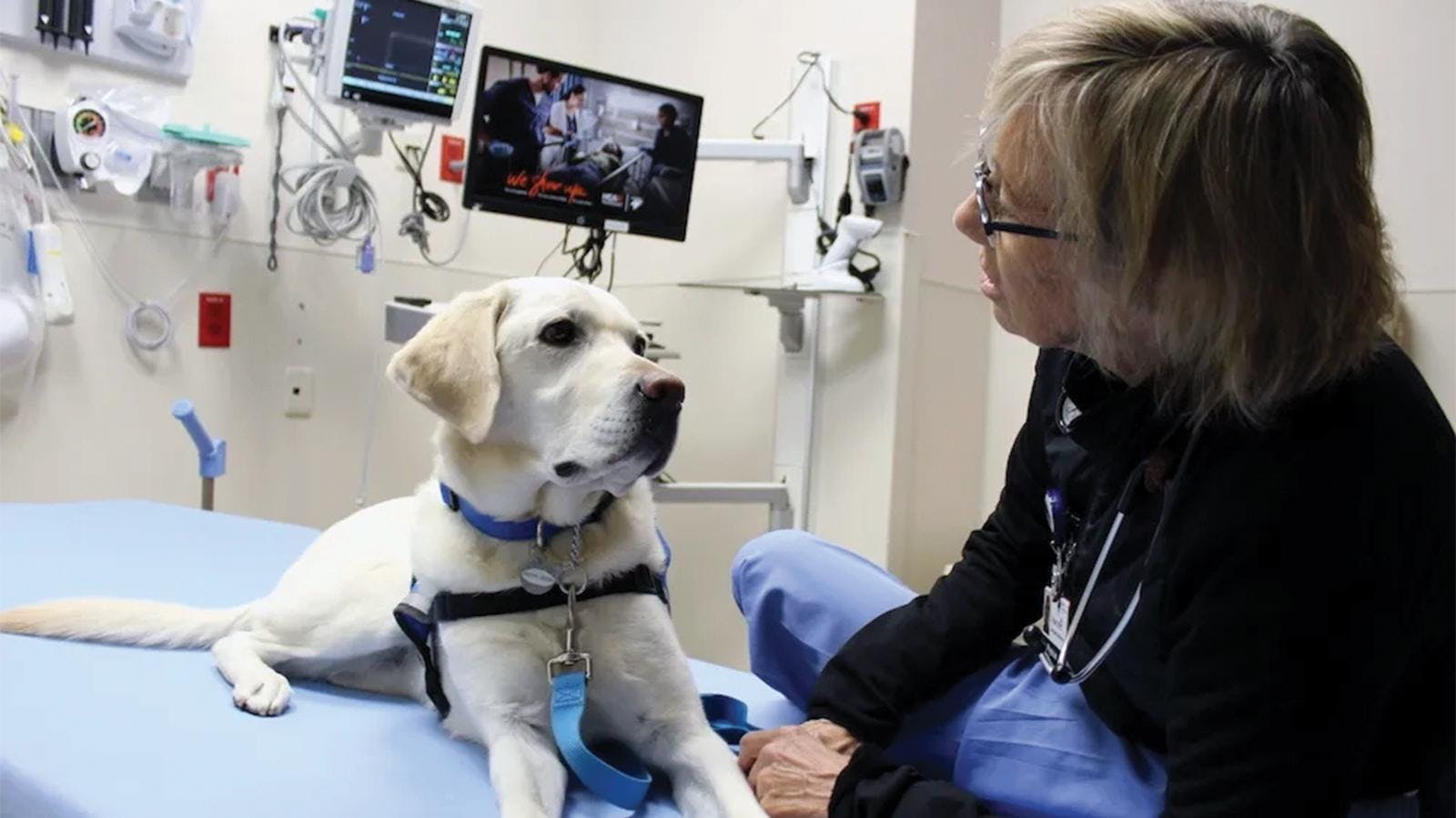 Susan Ryan sits with facility dog Peppi